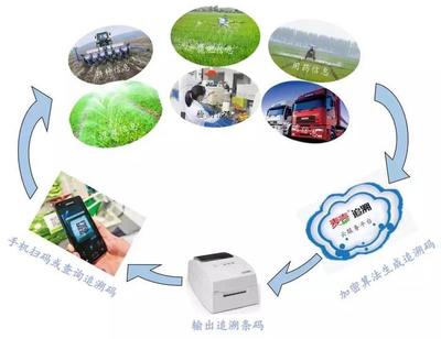 数字化时代下，生鲜配送企业食品安全风险管控与互联网安全服务融合策略